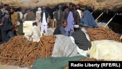 آرشیف، حاصلات انجیر در ولایت کندهار
