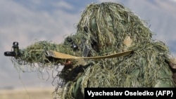 Згідно з даними, які Донбас Реалії отримали від Міністерства оборони України, минулого року снайпери на Донбасі вбили 11 українських військових, вісьмох військовослужбовців поранили