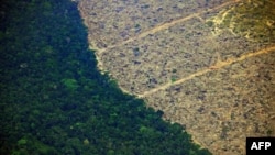 Знеліснена ділянка Амазонки, вражена пожежами, серпень 2019 року