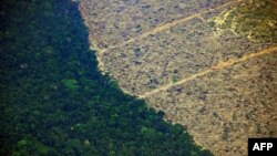 Знеліснена ділянка Амазонки, вражена пожежами, серпень 2019 року