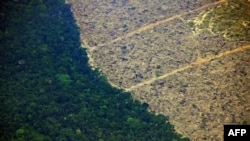 A 2019. augusztus 23-án készült kép az amazóniai esőerdő mellett egy olyan területet mutat, amelyről kiirtották a fákat