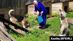 Сәкинә Шәрәфиева этләрен ашата