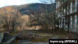 Возле здания казармы хозяйничает природа