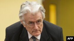 Peticija građana Bijelog Polja: Radovan Karadžić u sudnici Haškog tribunala