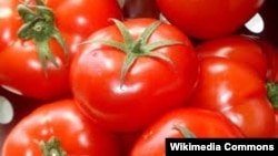 Արխիվային լուսանկար