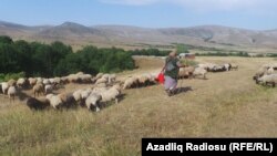 Məktəb çantalı qadın, İvanovka.