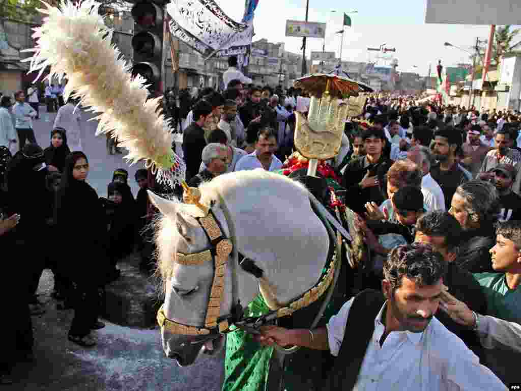 Pakistanis gather around a white horse symbolising Zuljinah, horse of the martyr Imam Hussein. - Shi'ite Muslims took part in the Chup Tazia procession in Karachi, Pakistan, on February 23, in which they end their 68 days of mourning. Photo by Rehan Khan for epa
