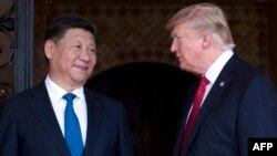 شی جینپینگ، رئیس جمهوری چین، (چپ) با همتای آمریکایی خود دونالد ترامپ