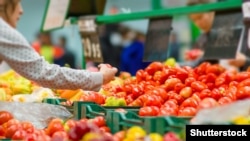 Kosova vazhdon të importojë gati të gjitha produktet, duke filluar nga ato të konsumit, e deri te produktet strategjike.