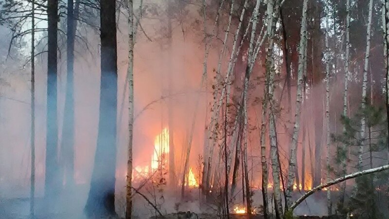 Высокая пожароопасность в Крыму сохранится до 5 ноября 