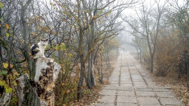 Севастополь окутал туман (+фото)