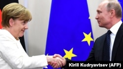 Russian President Vladimir Putin (right) shakes hands with German Chancellor Angela Merkel at a meeting in Sochi earlier this year. 