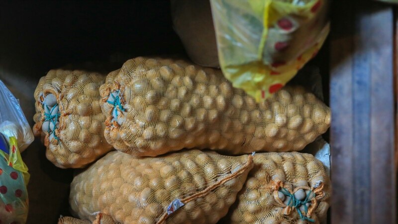 Нарын менен Ысык-Көлдөн Ташкентке миң тонна картошка экспорттолот
