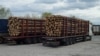 ЄС: заборона на експорт лісу-кругляка з України не подолає незаконну заготівлю