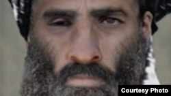  ملا محمد عمر رهبر طالبان