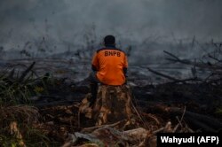Бессильный индонезийский пожарный в районе Кампар. Сентябрь 2019 года