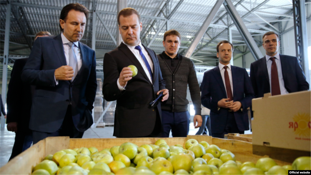 Дмитрий Медведев в Крыму инспектировал хранилище яблок, 27 апреля 2015 года