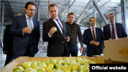 Дмитрий Медведев в Крыму инспектировал хранилище яблок