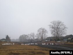 Криводаново авылында татарлар яшәгән урам