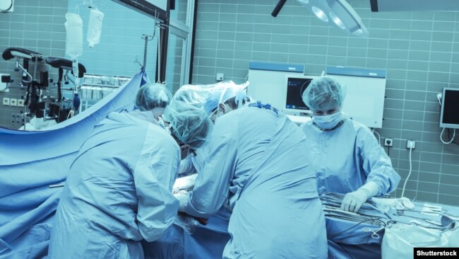 Операция жасап жатқан дәрігер-трансплантологтар. Көрнекі сурет.