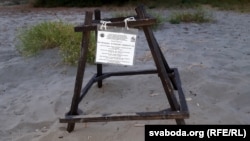 Тут адкладзеныя яйкі марской чарапахі