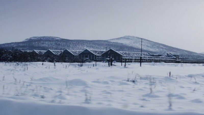 �������� ������ ������ ���� ���� ����