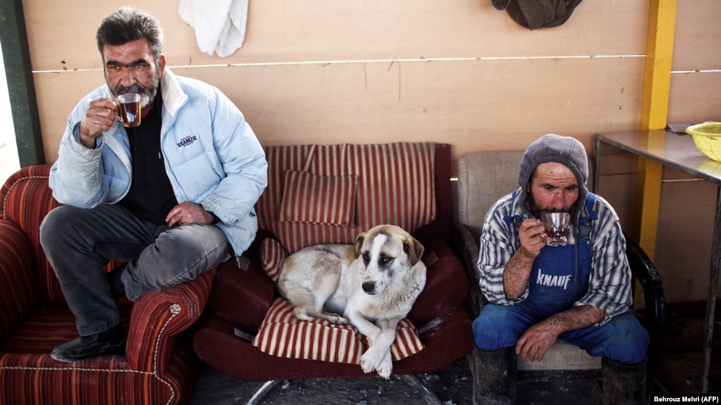 Workers at an animal shelter in the northern Iranian town of Hashtgerd take a break along with one of their charges last year.