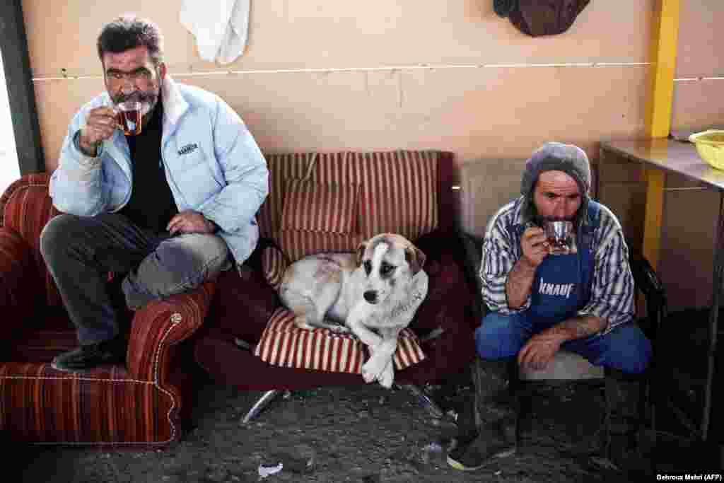 Workers of the Vafa animal shelter drink a cup of tea during a break in the town of Hashtgerd, Iran. (AFP/Behrouz Mehri)