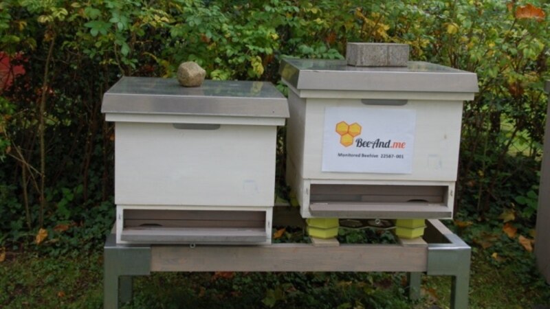 Crnogorski spas za pčele
