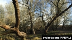 Парк у менскай Лошыцы. Архіўнае фота