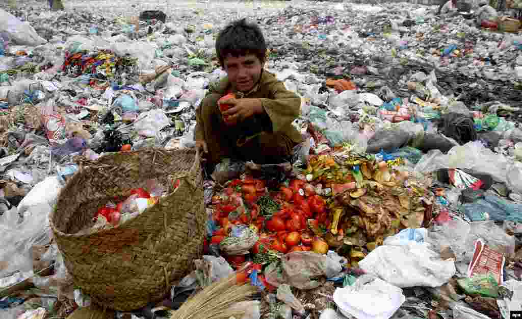 Një djalë pakistanez mbledh artikuj ushqimor nga deponitë e mbeturinave në një rrugë në Karaçi. Sipas Indeksit të Zhvillimit Njerëzor të Pakistanit, më shumë se 60 për qind e popullsisë së Pakistanit jeton me më pak se një dollar në ditë.&nbsp;