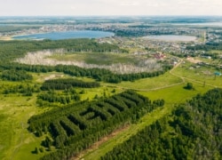 Istorijska šuma na periferiji Tjukalinska, ruskog grada blizu granice s Kazahstanom.