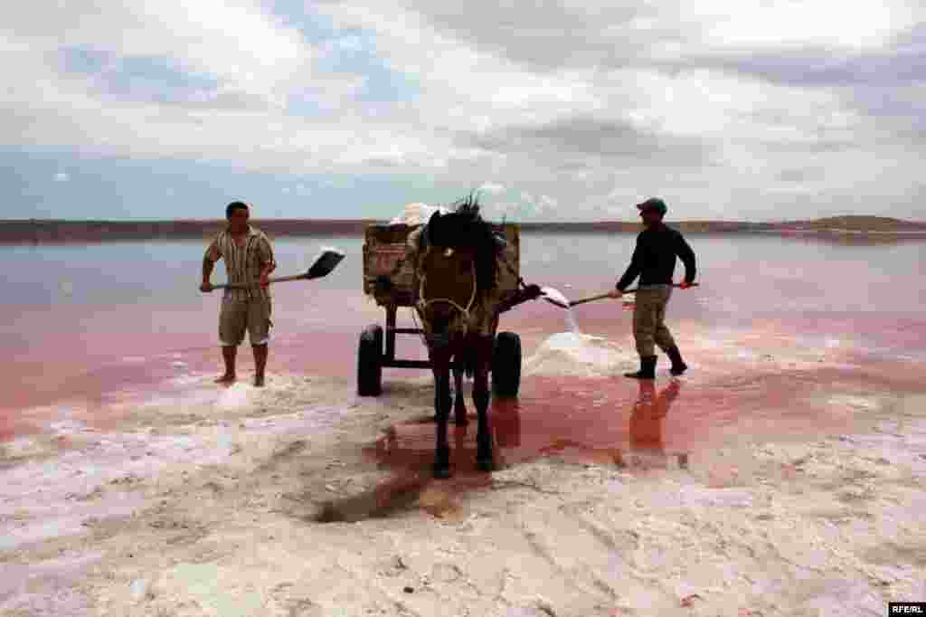 Çörəyi duzdan çıxaranlar #19