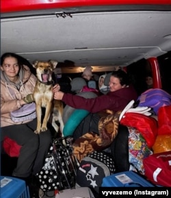 Евакуація людей та тварин