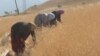 Tajik WTO Entry Comes Into Force