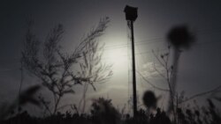 Украинские шерифы: на «Оскар» выдвинут фильм о дружинниках Володе и Викторе