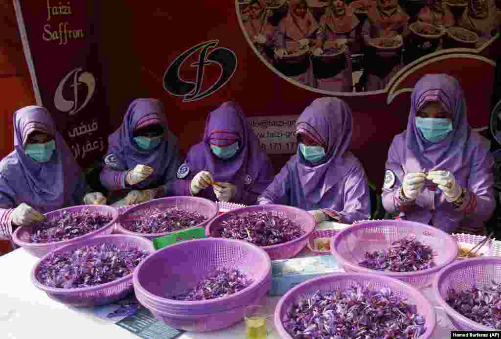 Women work on saffron production during the Saffron Festival in Herat, Afghanistan. In the Western province of Herat, 90 percent of poppy farmers have switched to growing the pricey spice, according to the Afghan Ministry of Counternarcotics. (AP/Hamed Sarfarazi)