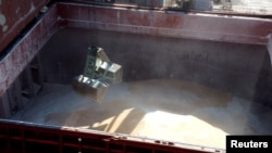 Grain from Ukraine is unloaded in the port of Ravenna, Italy, on August 13.