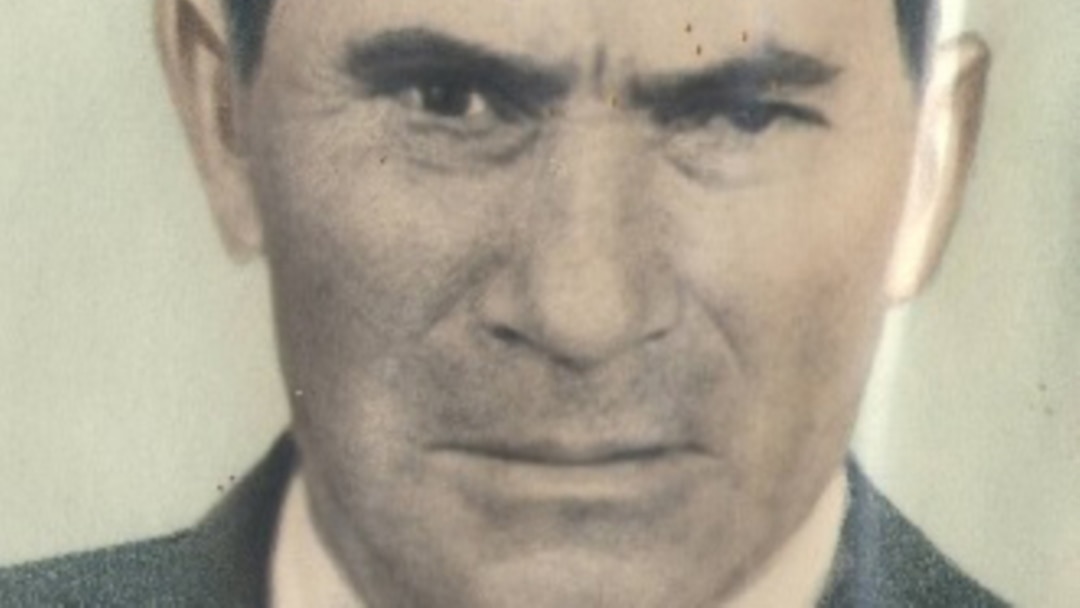 Елена Банщикова бейнеленген порно Ужгородтан келген жезөкше