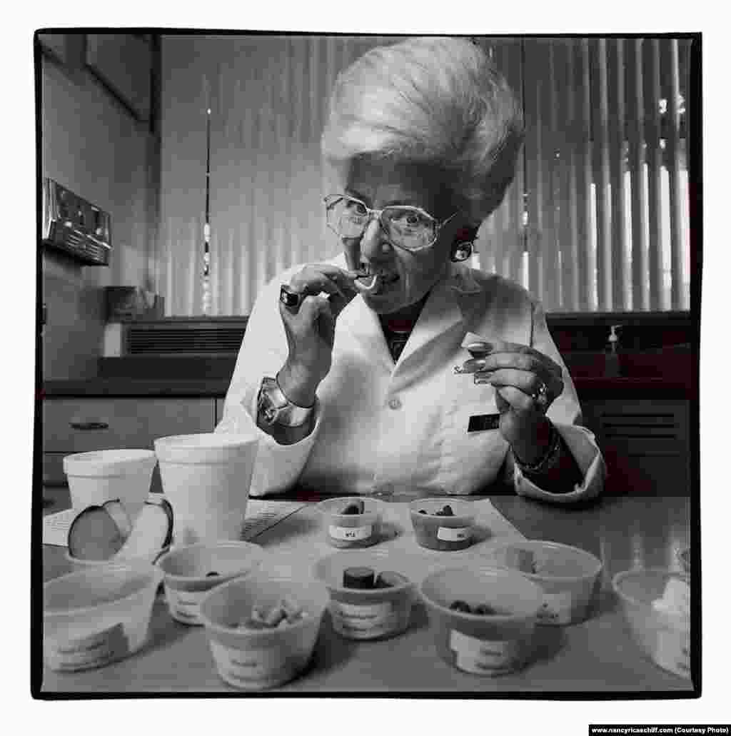 چشیدن غذای سگ