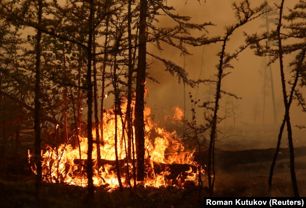 Soul of Siberia　Wild Siberia fired Soul of Siberia Wild Siberia fired Smoke From Siberia