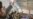 Iranian Students Disrupt Ahmadinejad's Speech