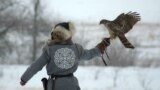 Kazakhstan - Сompetitions of berkutchi (The Eagle hunters) in Uralsk. West Kazakhstan region, February 2018.