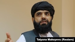 سهیل شاهین رئیس دفتر سیاسی طالبان در قطر
