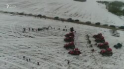 Belarusda traktor yarışı