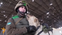 Demining Dog Helps Sappers Clear Battlefields Of Donbas