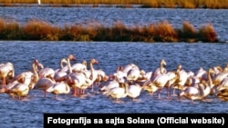 Područje Solane