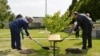 Armenia - President Serzh Sarkisian (L) and U.S. Ambassador Richard Mills plant a tree at the U.S. Embassy compound in Yerevan, 4Jul2017.