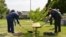 Armenia - President Serzh Sarkisian (L) and U.S. Ambassador Richard Mills plant a tree at the U.S. Embassy compound in Yerevan, 4Jul2017.