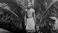 Кокофаг среди развалин